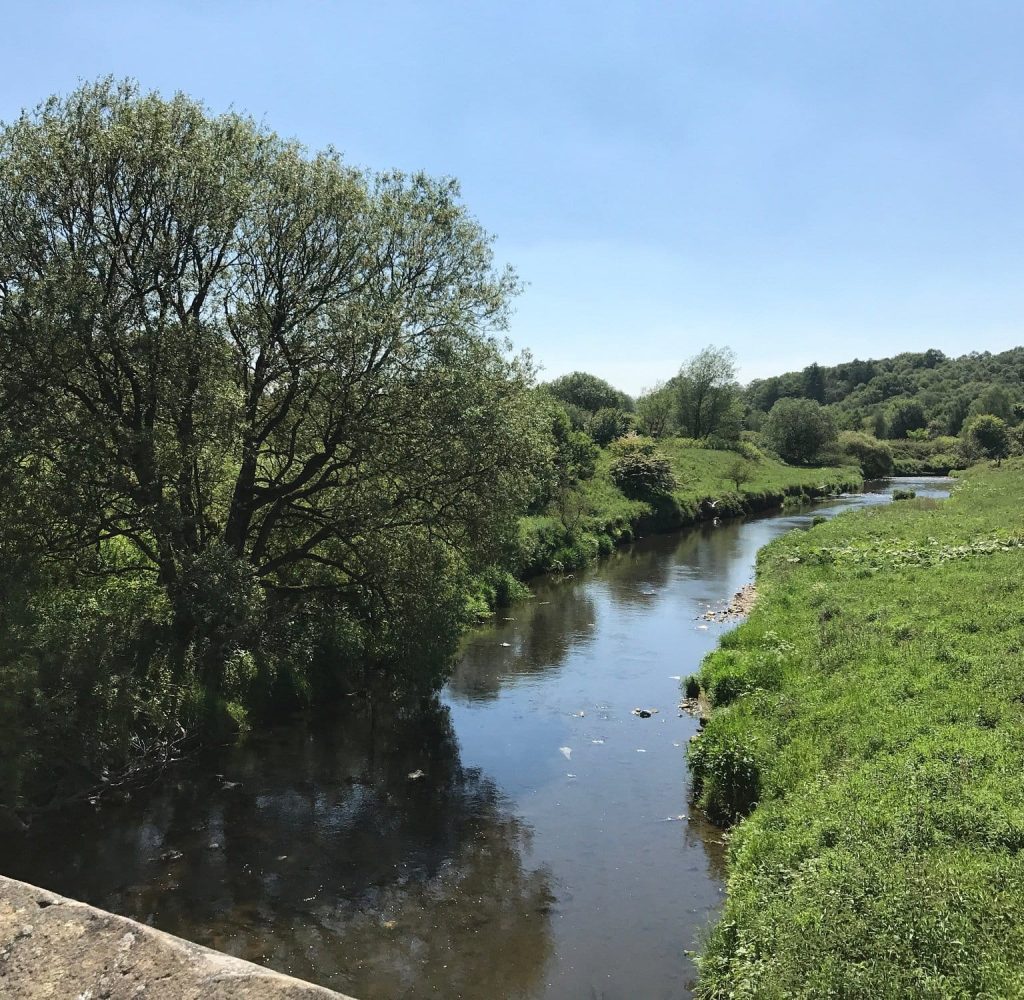 WittonPark2